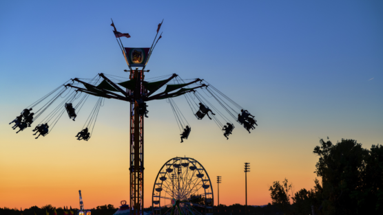 Não somos livres, estamos submetidos às leis das relações.